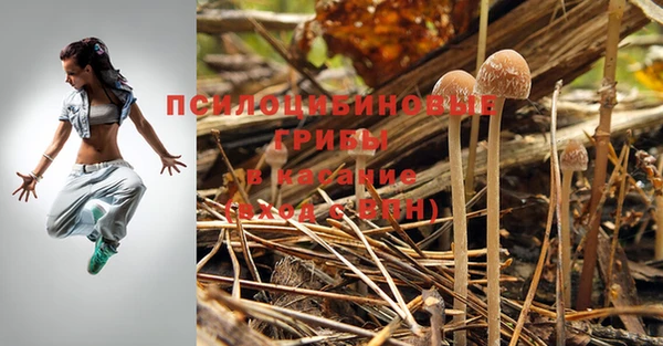 молекула духа Осинники