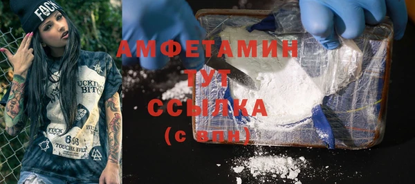 молекула духа Осинники