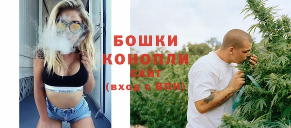 молекула духа Осинники