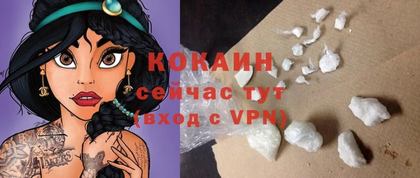 молекула духа Осинники