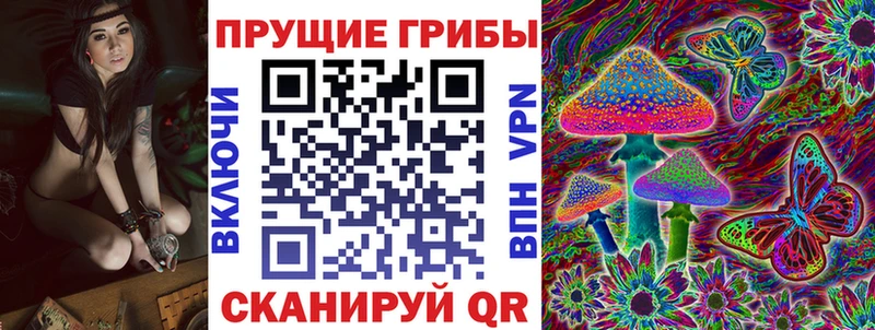 Галлюциногенные грибы прущие грибы  купить наркоту  Старица 