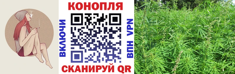 Конопля индика  Старица 